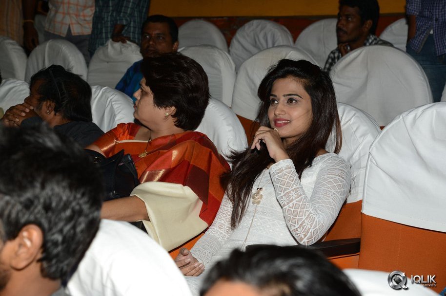 Krishnashtami-Movie-Team-at-Devi-Theater